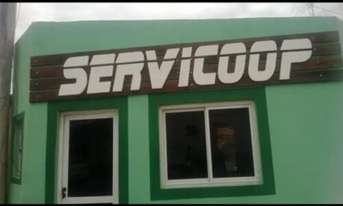 SERVICOP 03